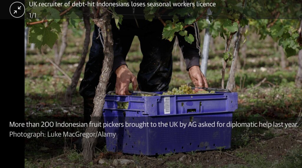 AG Recruitment of debt-hit Indonesian and Nepali migrant workers loses seasonal workers license