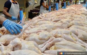 Migrant workers at Ayamas chicken factory in Malaysia ‘threatened with deportation after complaints’