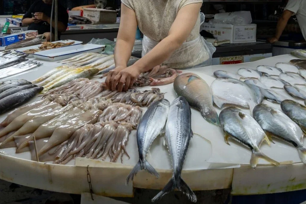 Lawmakers urge European Commission to take on China’s ‘deplorable’ fishing practices