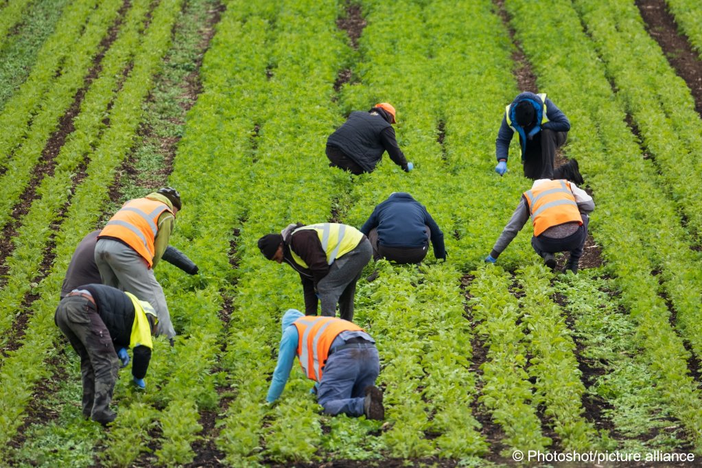 12th January 2024: TBIJ - UK government ‘breaching international law’ with seasonal worker scheme, says UN envoy
