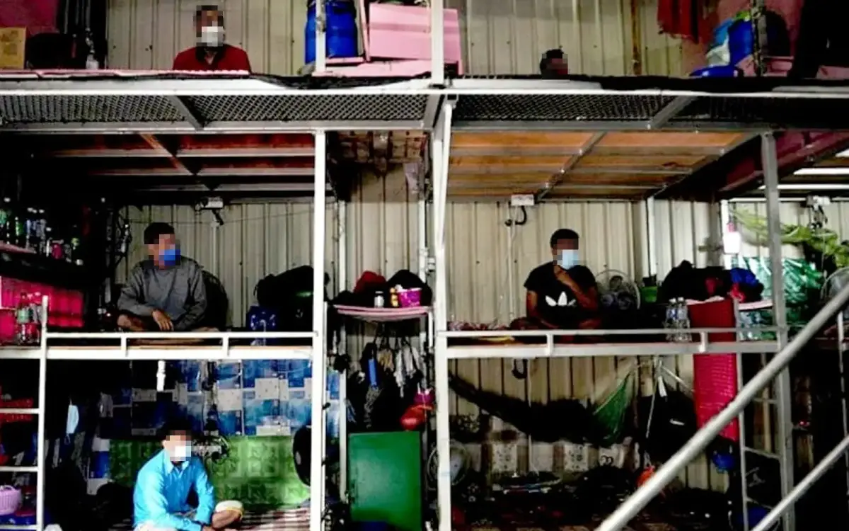 FMT 18th May 2025: 33 Bangladeshi migrant workers sue Malaysian recruitment  firm, Malaysian govt over job scam from alleged syndicate trafficking  Bangladeshi workers for forced labour in Malaysia - Andy Hall