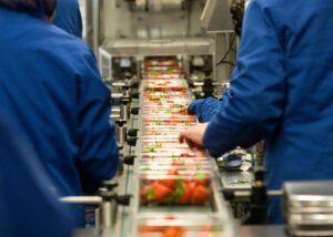 Farms and supermarkets could pay to bring foreign farm workers to UK, government-commissioned report says